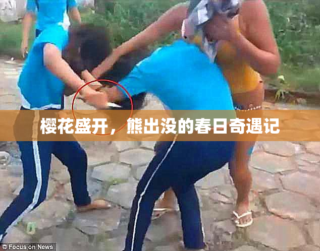 樱花盛开，熊出没的春日奇遇记