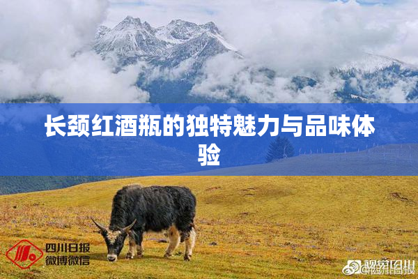 长颈红酒瓶的独特魅力与品味体验