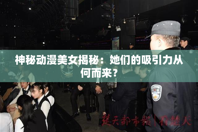 神秘动漫美女揭秘：她们的吸引力从何而来？