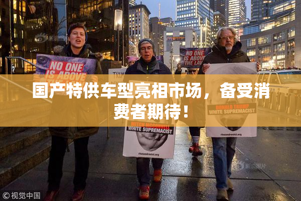 国产特供车型亮相市场，备受消费者期待！