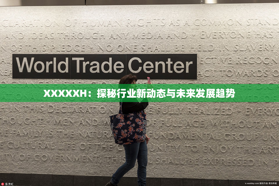 XXXXXH：探秘行业新动态与未来发展趋势