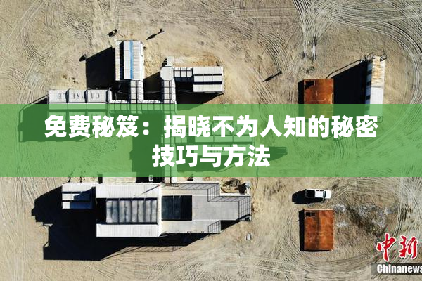 免费秘笈：揭晓不为人知的秘密技巧与方法