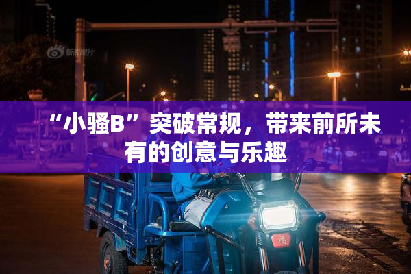 “小骚B”突破常规，带来前所未有的创意与乐趣