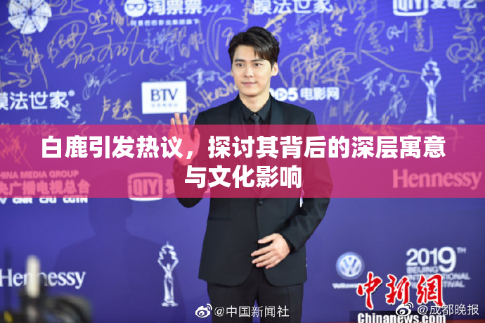白鹿引发热议，探讨其背后的深层寓意与文化影响