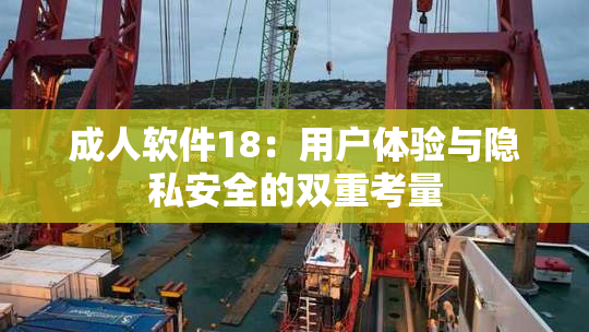 成人软件18：用户体验与隐私安全的双重考量