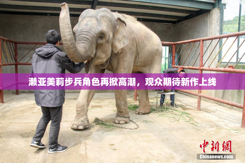 濑亚美莉步兵角色再掀高潮，观众期待新作上线