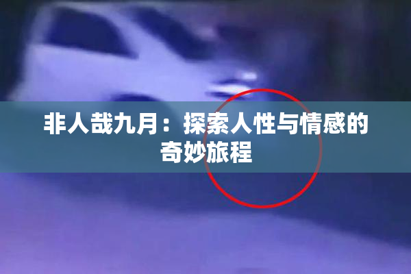 非人哉九月：探索人性与情感的奇妙旅程