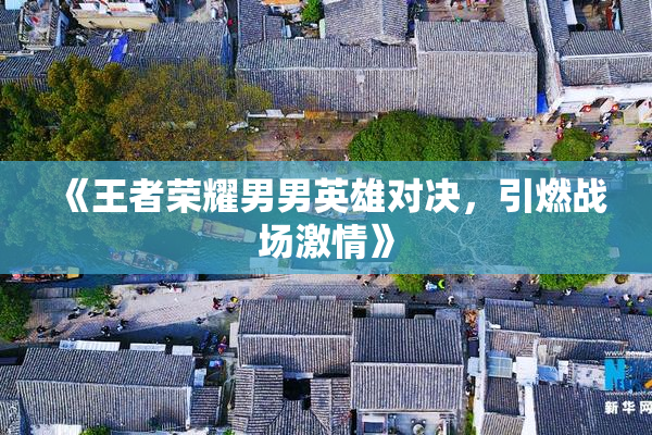 《王者荣耀男男英雄对决，引燃战场激情》