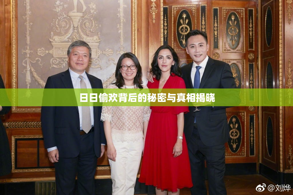 日日偷欢背后的秘密与真相揭晓