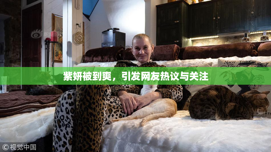 紫妍被到爽，引发网友热议与关注