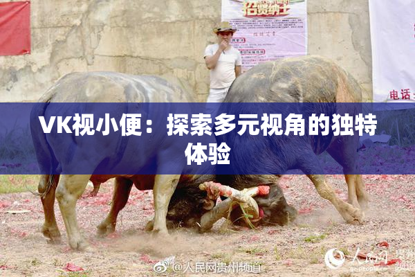 VK视小便：探索多元视角的独特体验