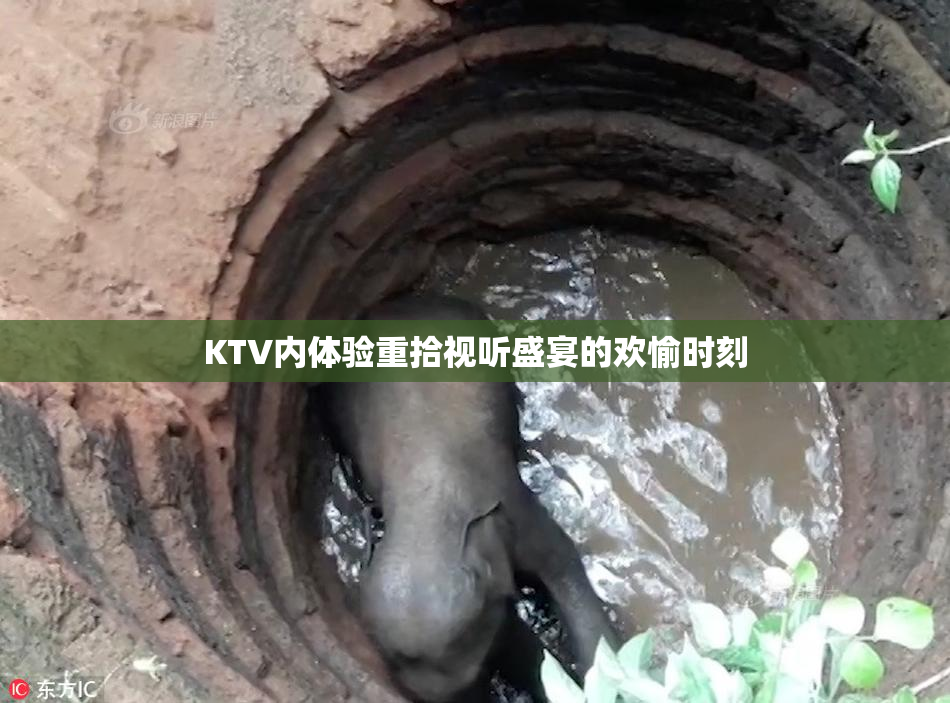 KTV内体验重拾视听盛宴的欢愉时刻