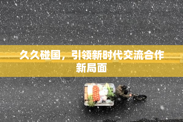 久久碰国，引领新时代交流合作新局面