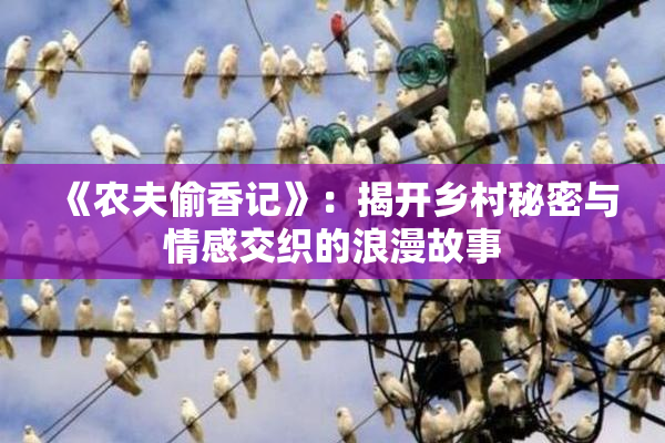 《农夫偷香记》：揭开乡村秘密与情感交织的浪漫故事