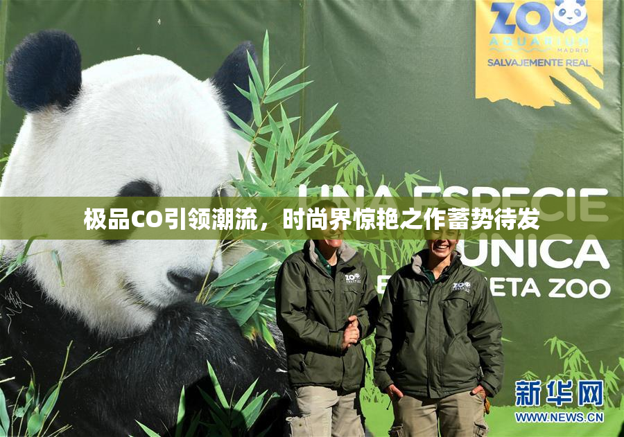 极品CO引领潮流，时尚界惊艳之作蓄势待发