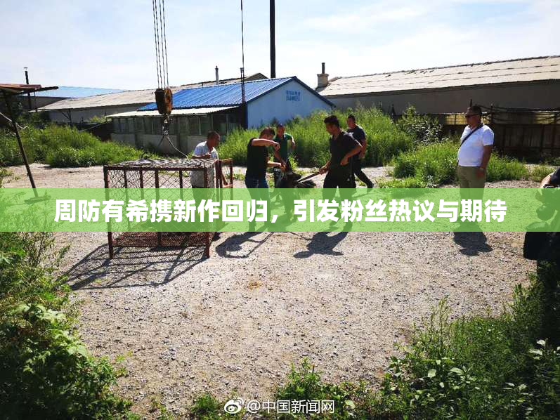 周防有希携新作回归，引发粉丝热议与期待