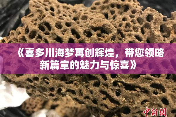 《喜多川海梦再创辉煌，带您领略新篇章的魅力与惊喜》