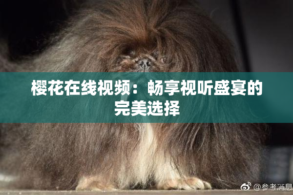 樱花在线视频：畅享视听盛宴的完美选择
