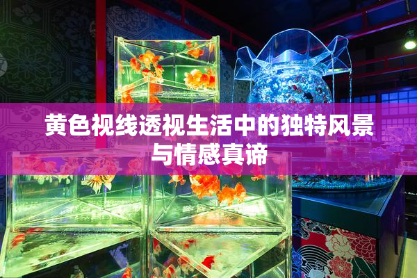黄色视线透视生活中的独特风景与情感真谛