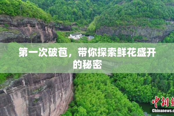 第一次破苞，带你探索鲜花盛开的秘密