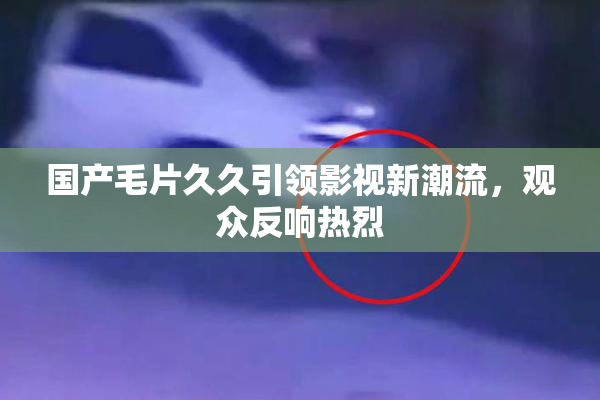 国产毛片久久引领影视新潮流，观众反响热烈