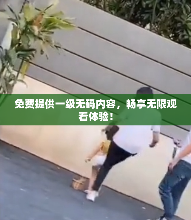 免费提供一级无码内容，畅享无限观看体验！