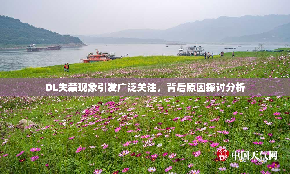 DL失禁现象引发广泛关注，背后原因探讨分析