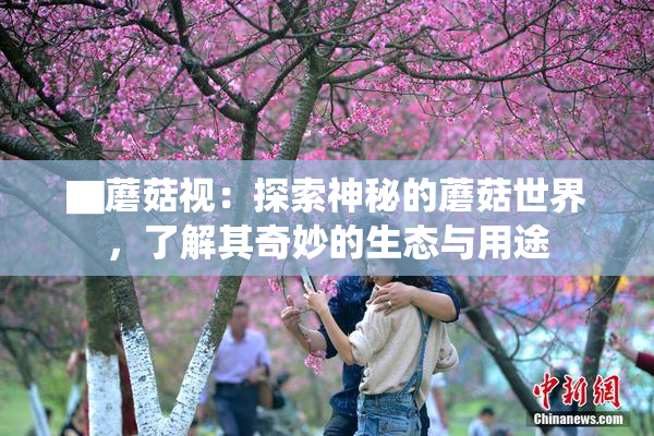 ▇蘑菇视：探索神秘的蘑菇世界，了解其奇妙的生态与用途