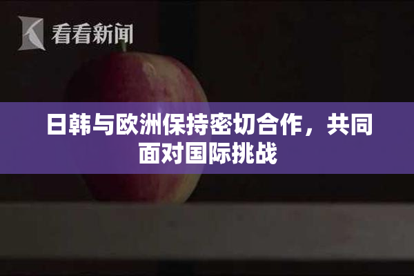 日韩与欧洲保持密切合作，共同面对国际挑战