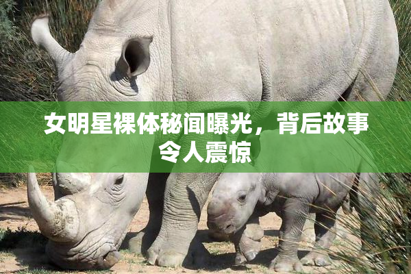 女明星裸体秘闻曝光，背后故事令人震惊