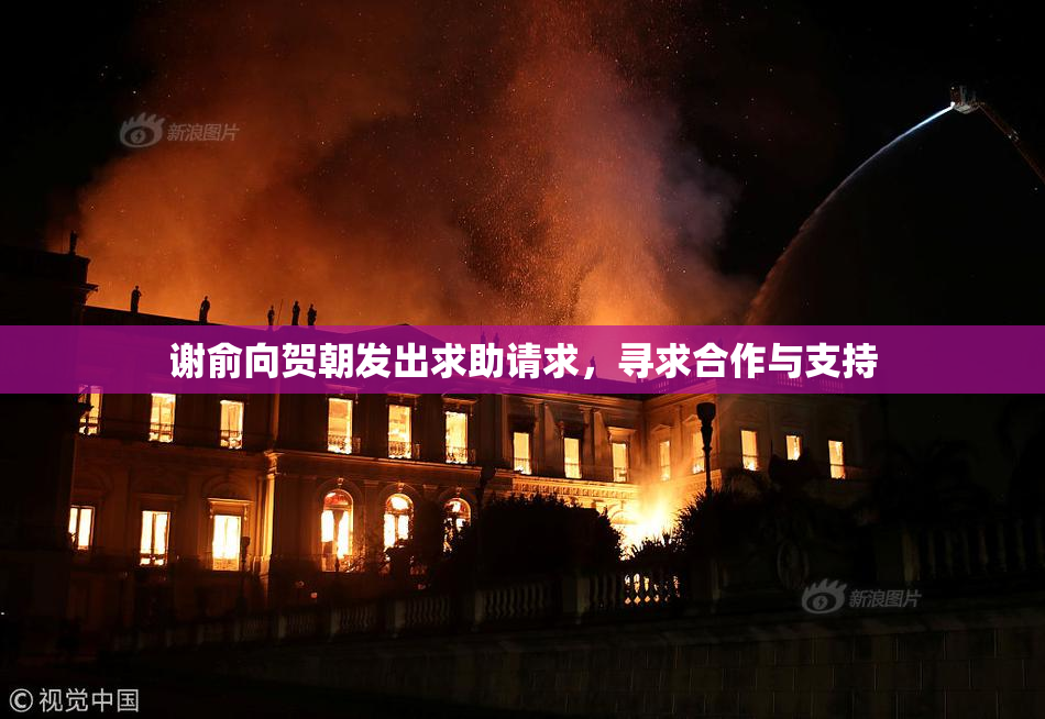 谢俞向贺朝发出求助请求，寻求合作与支持