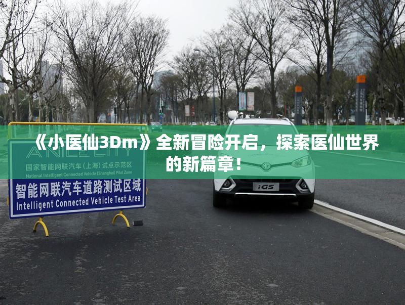 《小医仙3Dm》全新冒险开启，探索医仙世界的新篇章！