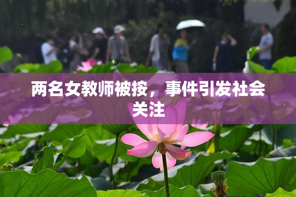 两名女教师被按，事件引发社会关注