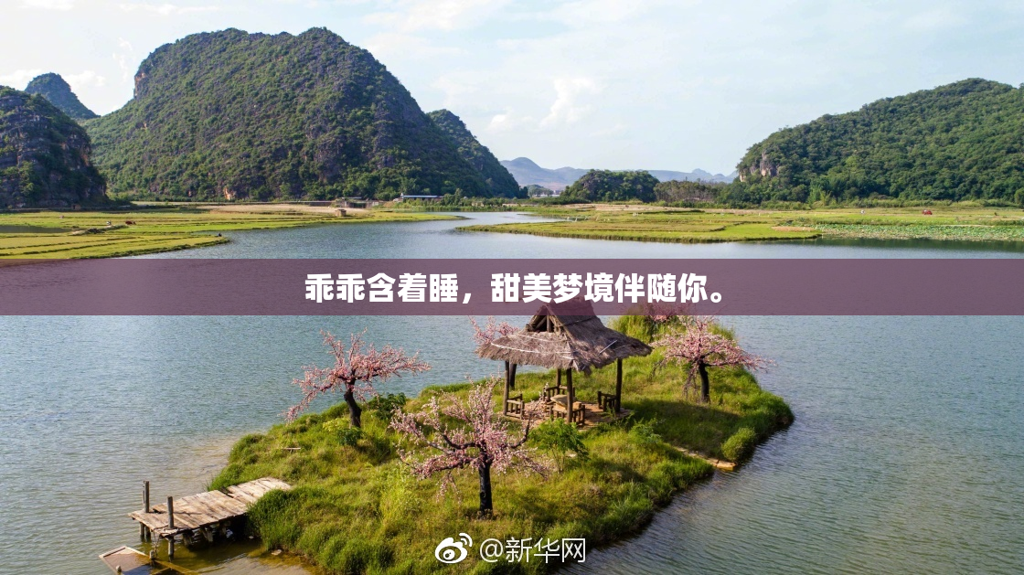 乖乖含着睡，甜美梦境伴随你。