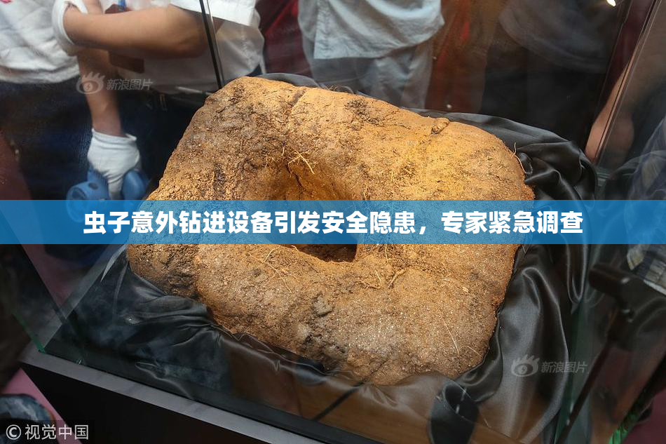 虫子意外钻进设备引发安全隐患，专家紧急调查