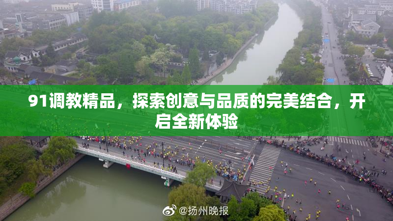 91调教精品，探索创意与品质的完美结合，开启全新体验