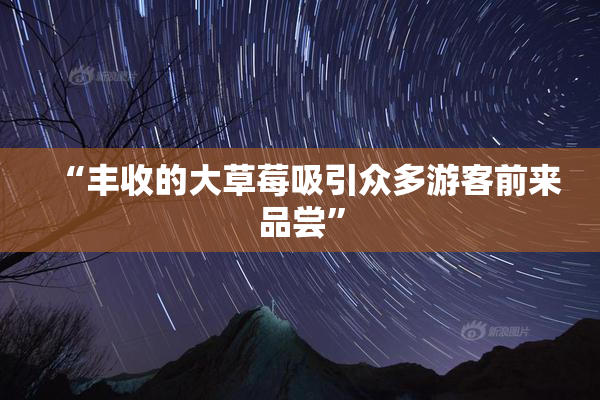“丰收的大草莓吸引众多游客前来品尝”