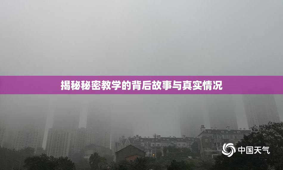 揭秘秘密教学的背后故事与真实情况
