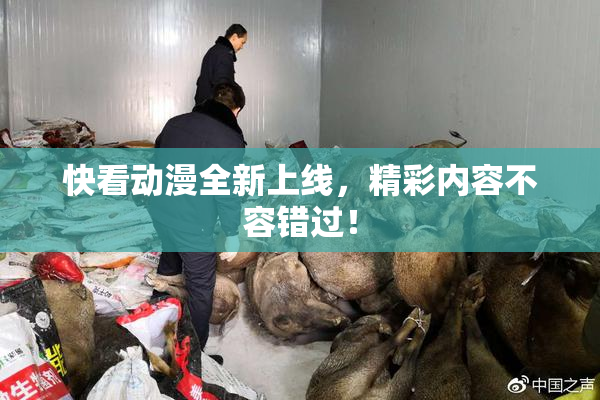 快看动漫全新上线，精彩内容不容错过！