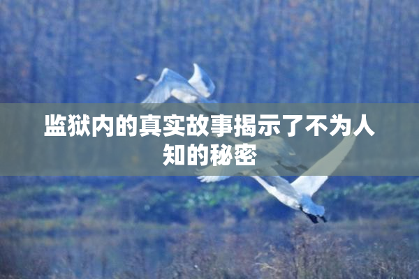 监狱内的真实故事揭示了不为人知的秘密