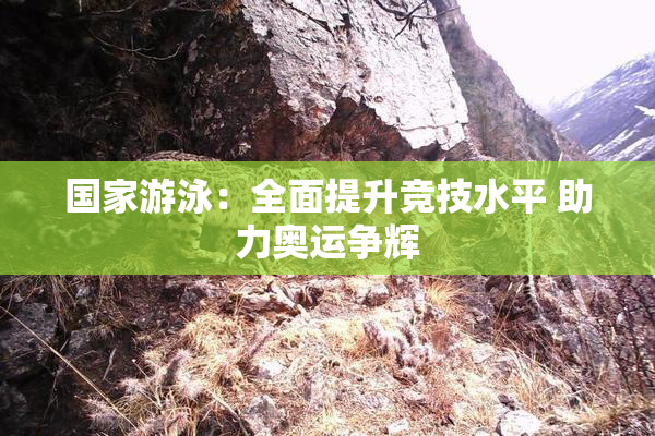 国家游泳：全面提升竞技水平 助力奥运争辉