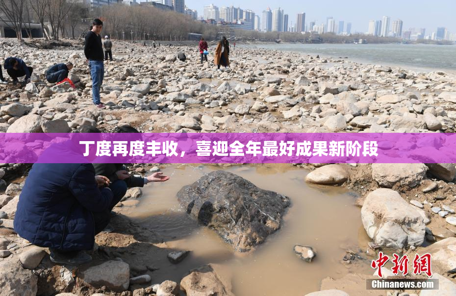 丁度再度丰收，喜迎全年最好成果新阶段