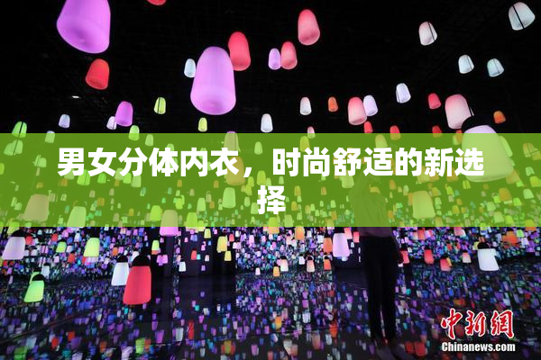 男女分体内衣，时尚舒适的新选择