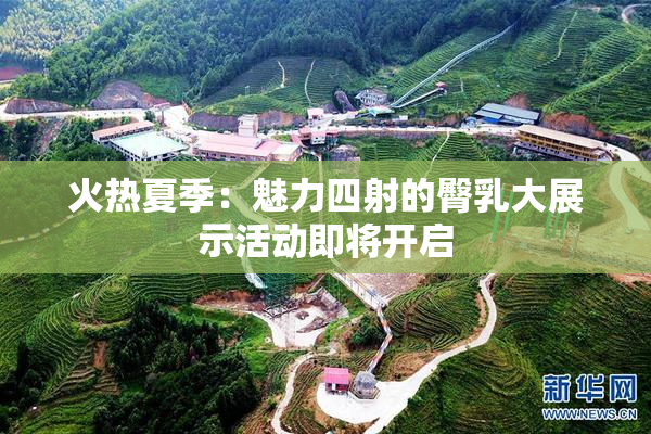 火热夏季：魅力四射的臀乳大展示活动即将开启
