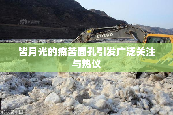 皆月光的痛苦面孔引发广泛关注与热议