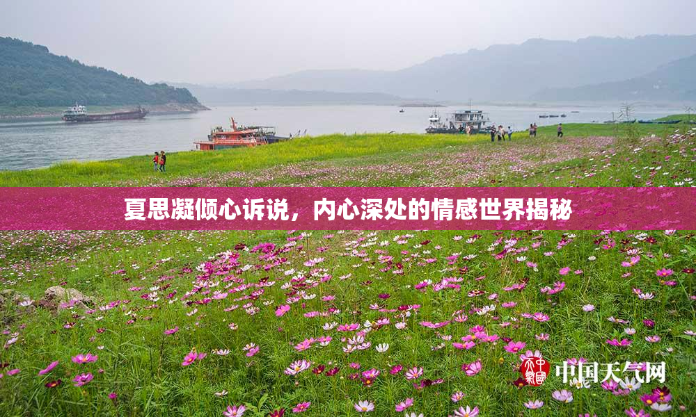 夏思凝倾心诉说，内心深处的情感世界揭秘