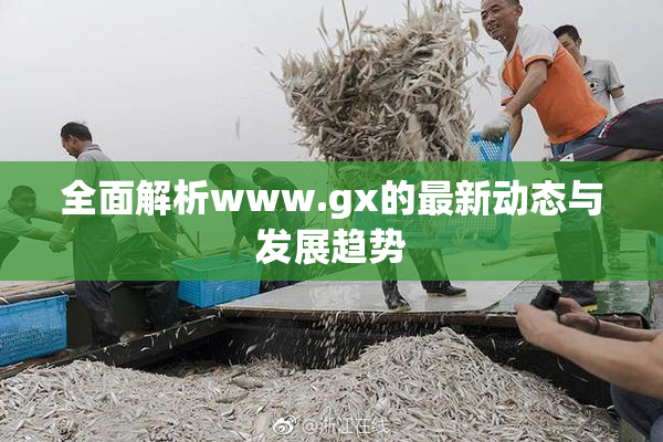 全面解析www.gx的最新动态与发展趋势