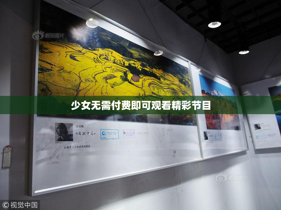 少女无需付费即可观看精彩节目