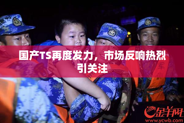 国产TS再度发力，市场反响热烈引关注