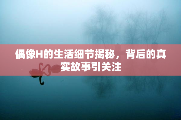 偶像H的生活细节揭秘，背后的真实故事引关注